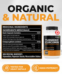 Renew Actives Turmeric Curcumin capsules in a hand