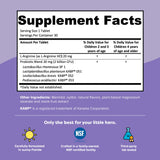 Renzo's Smile Patrol Kids Probiotic 50g on a kitchen counter
