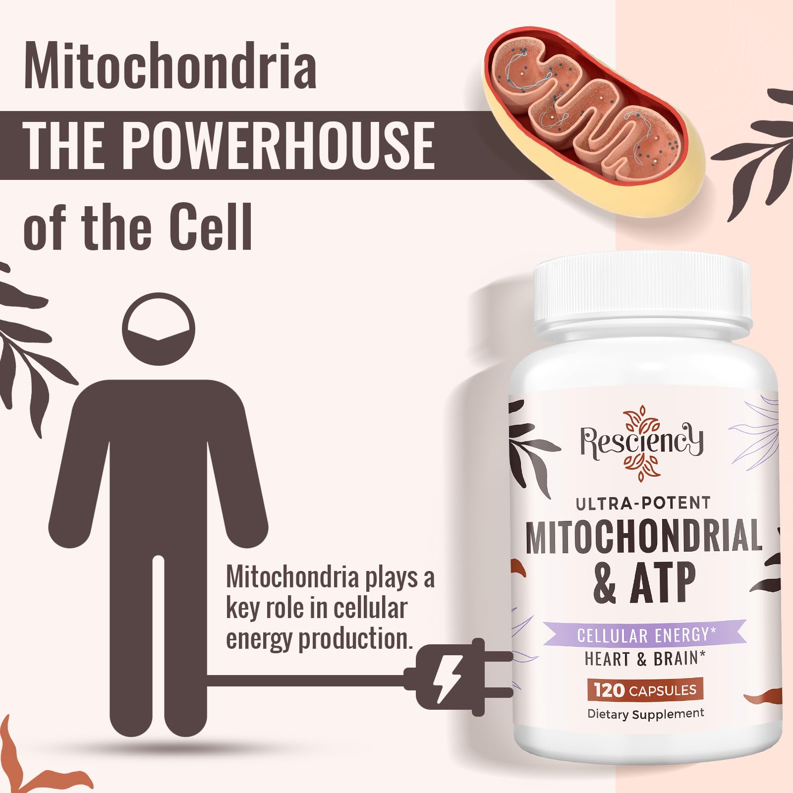 Resciency Mitochondrial Support Supplement bottle on a wooden table