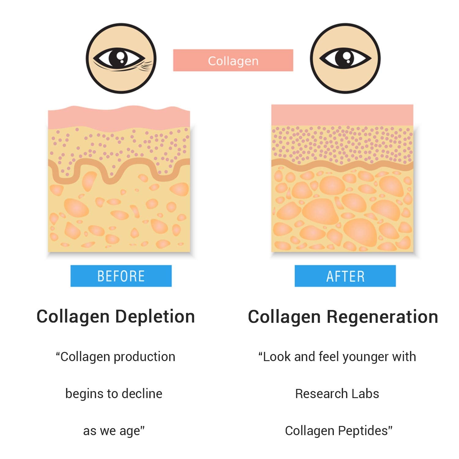 Research Labs Collagen Capsules 6000mg nutritional information