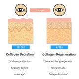 Research Labs Collagen Capsules 6000mg nutritional information