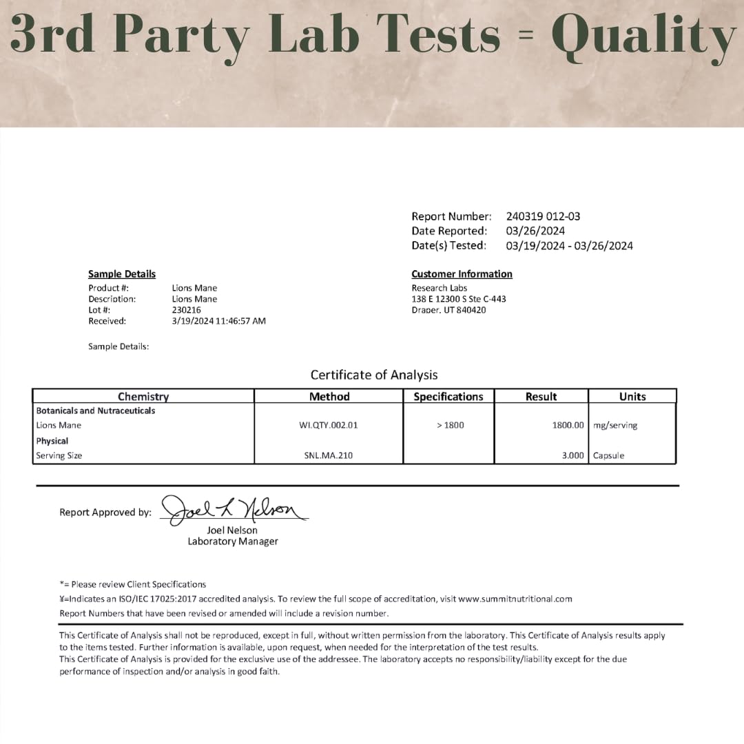 Research Labs Lion's Mane Mushroom Supplement in a lifestyle setting