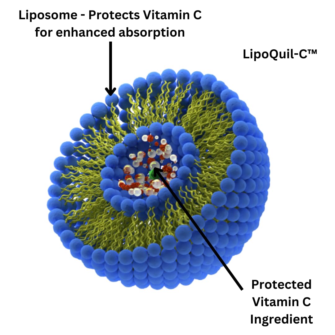 Research Labs LipoQuil-C Liposomal Vitamin C bottle side view