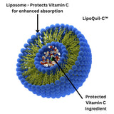 Research Labs LipoQuil-C Liposomal Vitamin C bottle side view