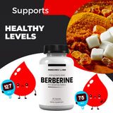 Research Labs Micronized Berberine Supplement bottle side view