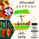 Research Labs Micronized Berberine Supplement bottle top view