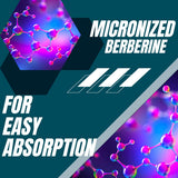 Research Labs Micronized Berberine Supplement in a lifestyle setting