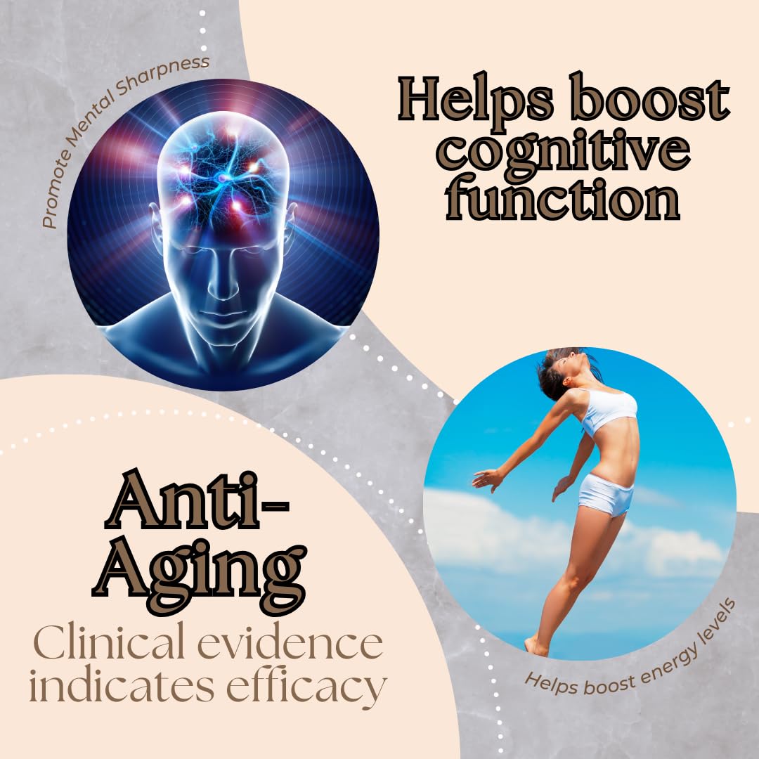 Research Labs NMN Supplement 500mg capsules close-up