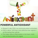 Research Labs PQQ supplement bottle side view