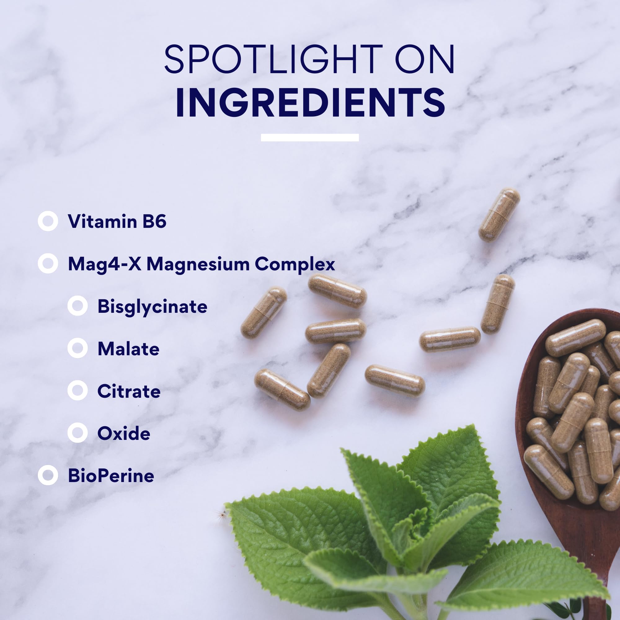 Research Verified Magnesium Complex capsules in a hand