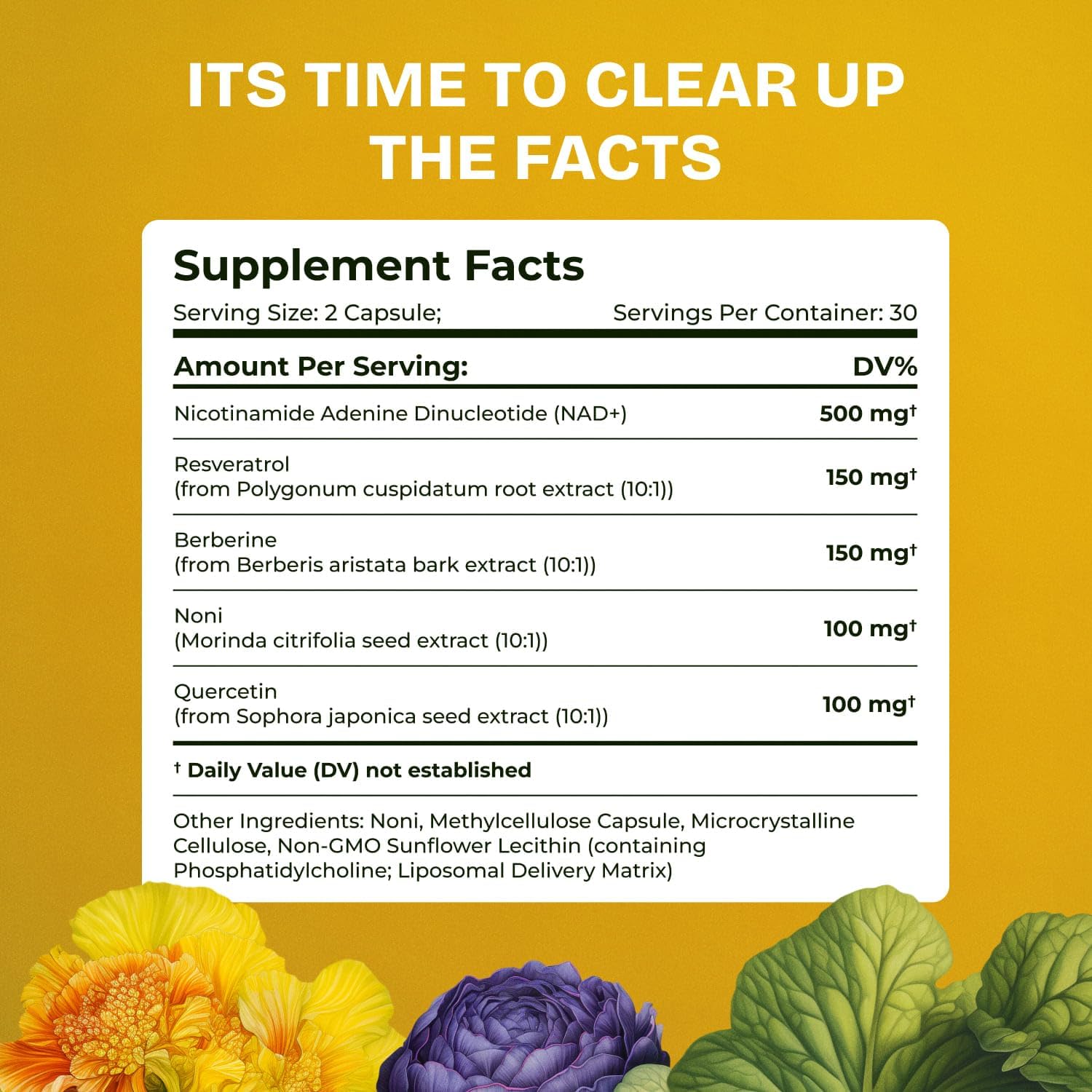 Resurrected Health NAD Plus Liposomal Supplement in a lifestyle setting