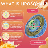 ReviNutra Liposomal Iron Gummies side view