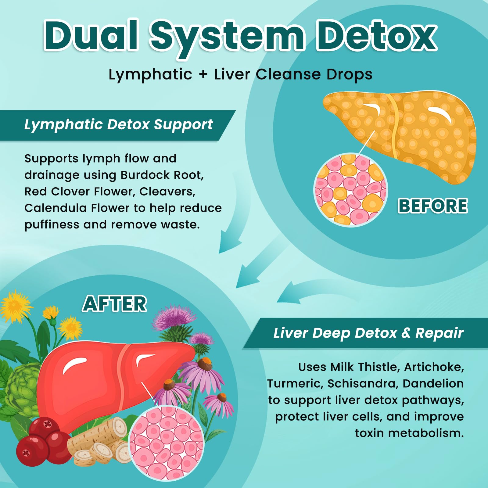 ReviNutra Lymphatic Drops usage instructions