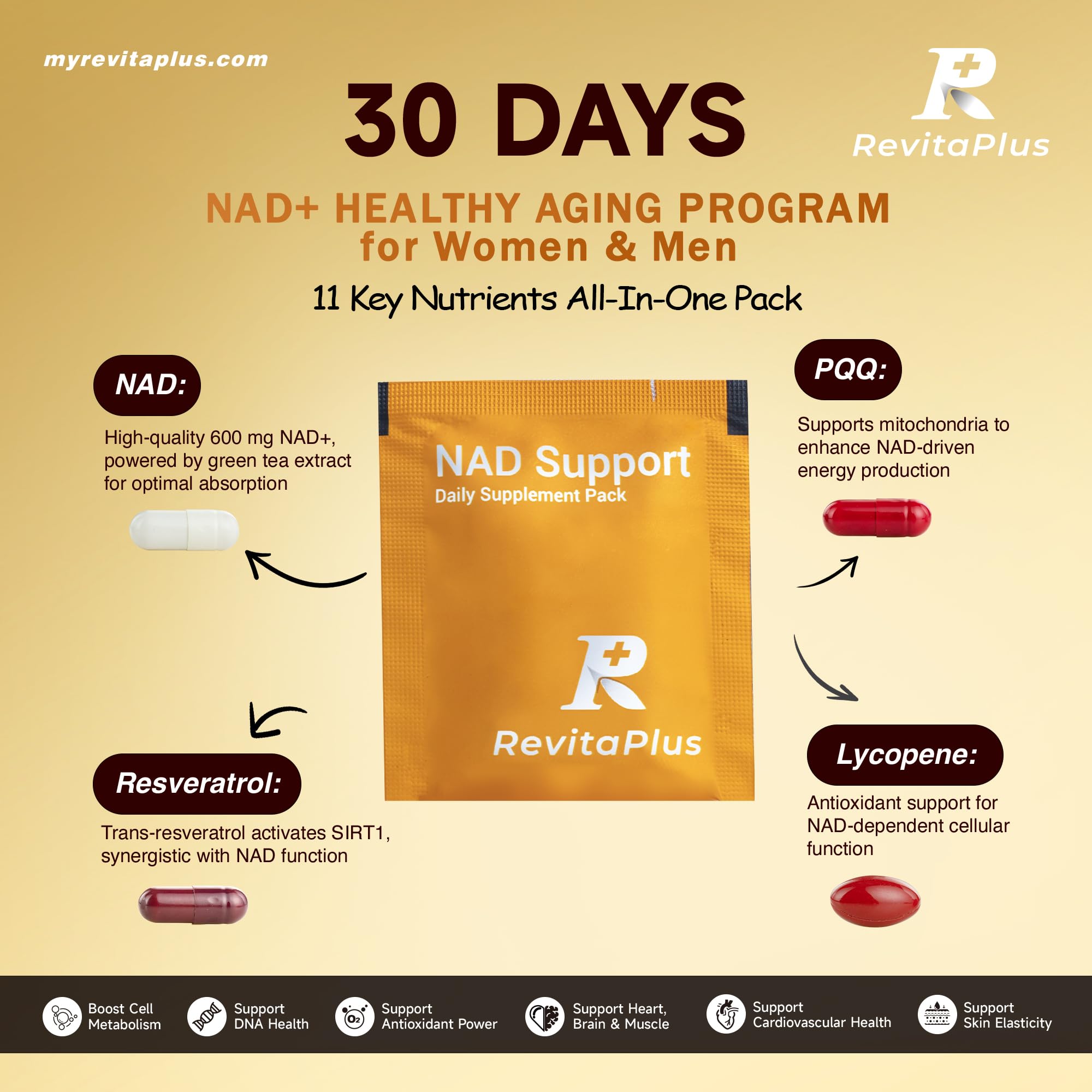 RevitaPlus NAD+ Daily Pack ingredients list on the back