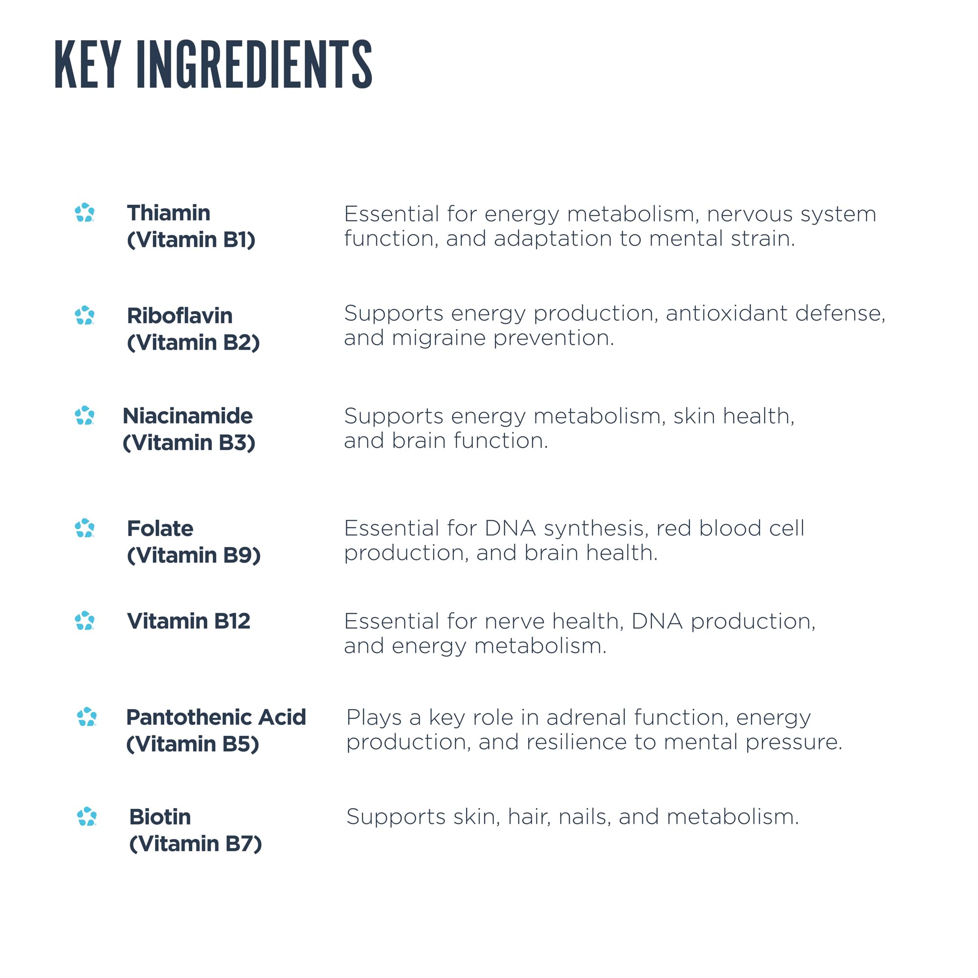 Revive B-Complex Supplement showing ingredient list