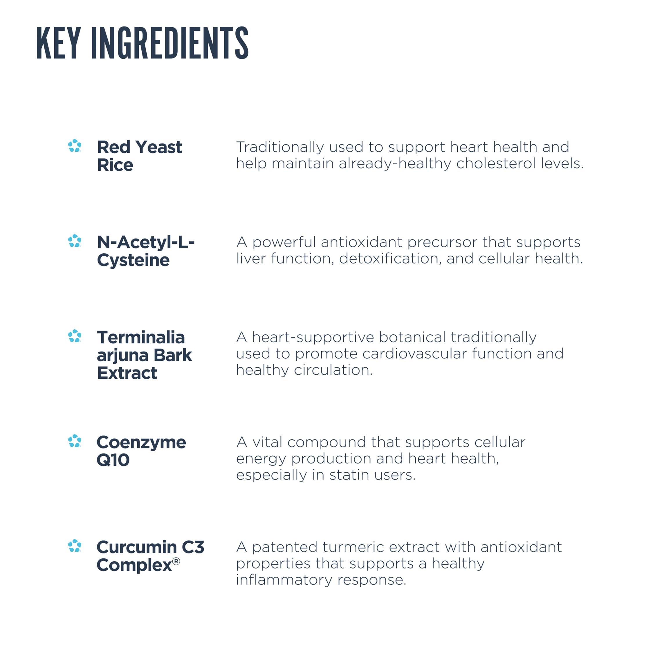 Revive Complete Vital CoQ10 Supplement with ingredients list on packaging
