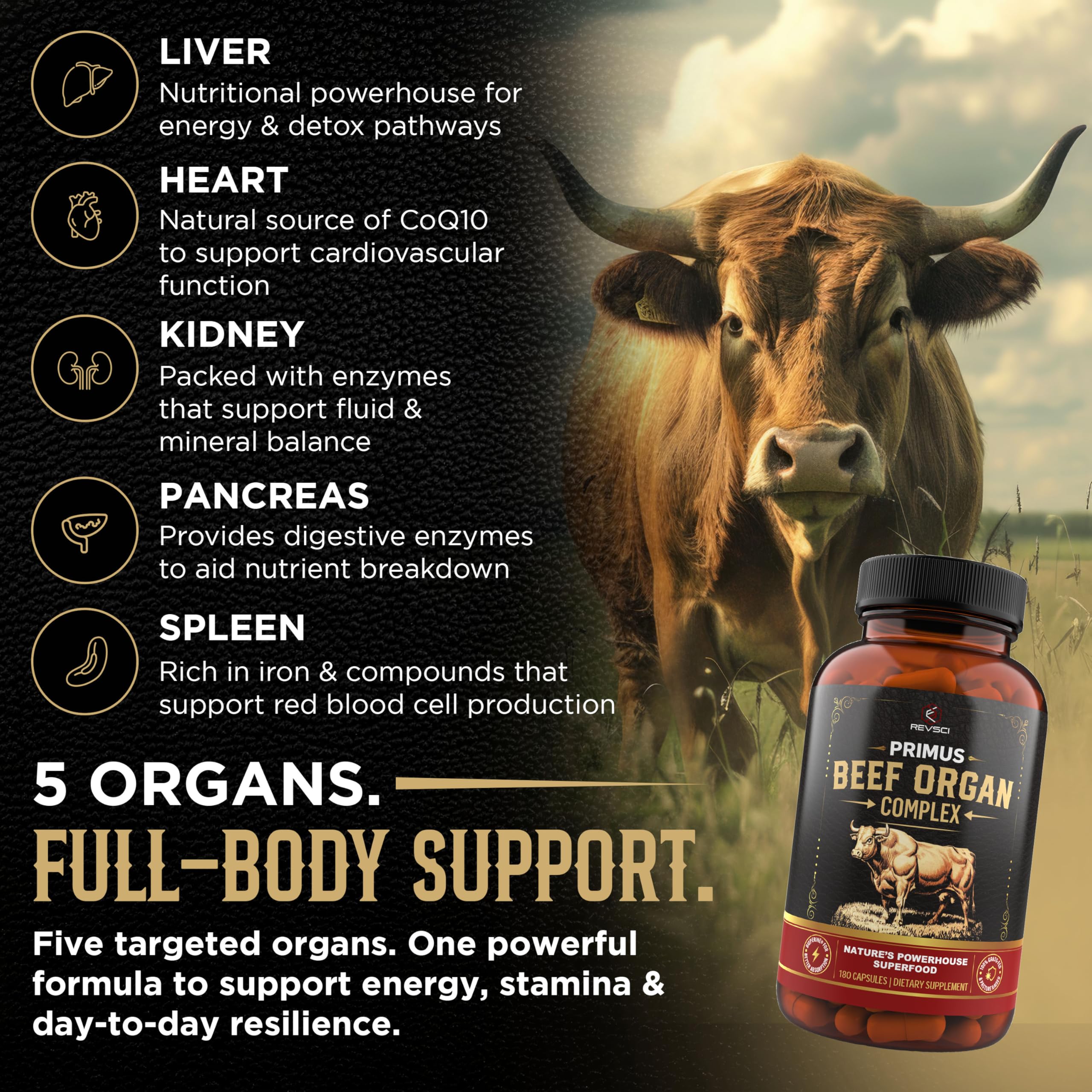 Revolution Science Beef Organ Supplement 3000mg capsule close-up