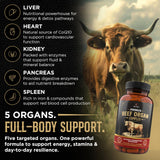 Revolution Science Beef Organ Supplement 3000mg capsule close-up