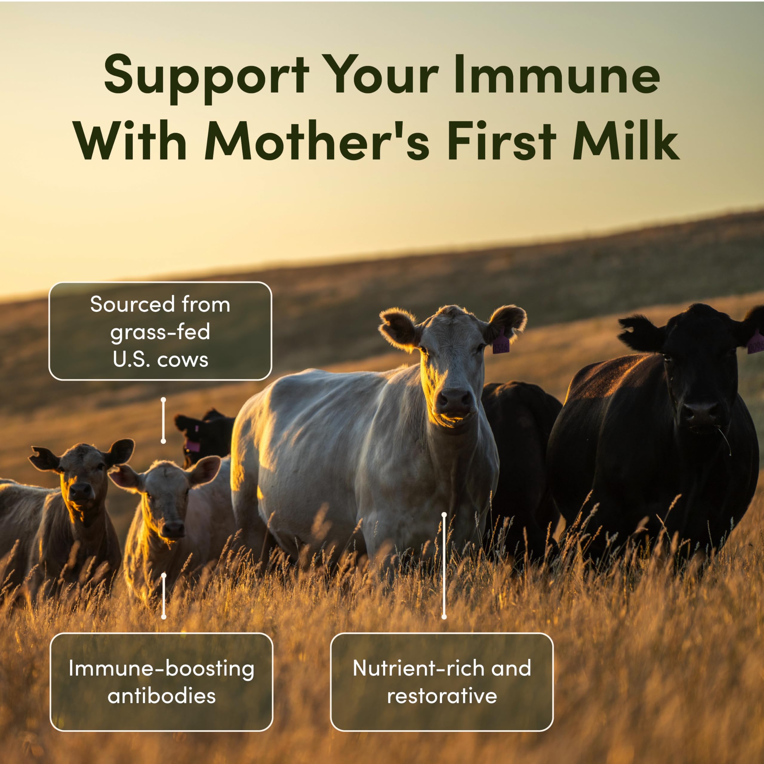 RHEASILVIA Colostrum Capsules packaging details