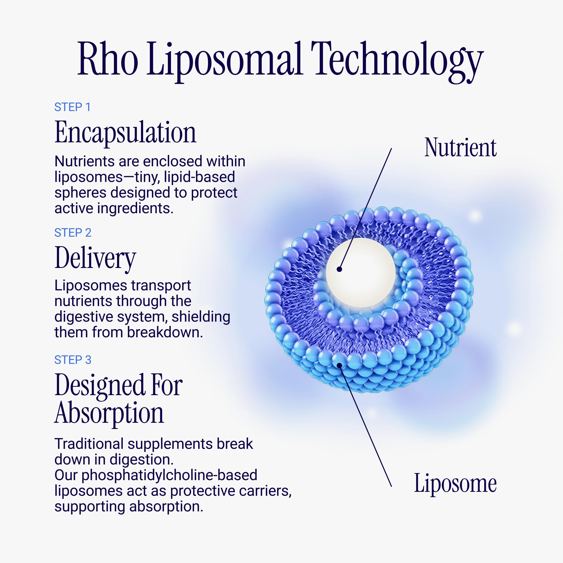 Rho Nutrition Liposomal Berberine Capsules packaging details
