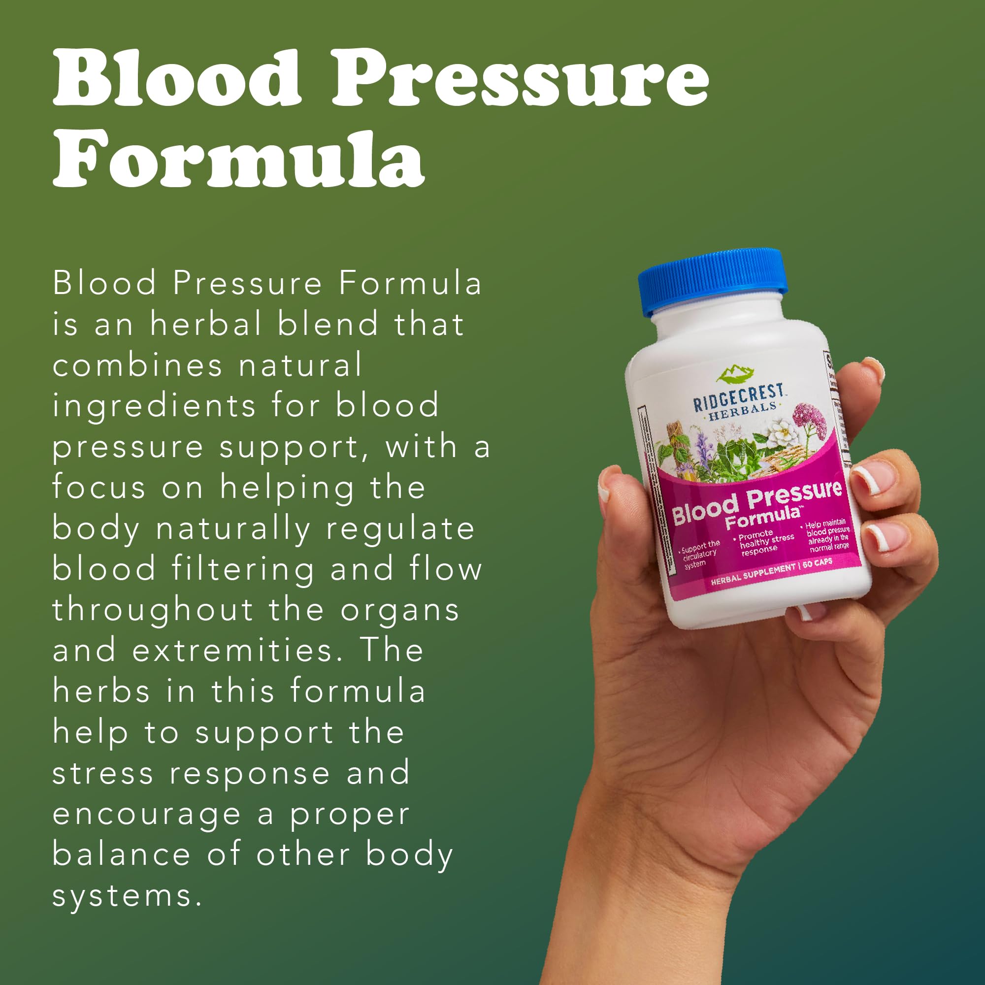 RidgeCrest Herbals Blood Pressure Formula 1000mg packaging