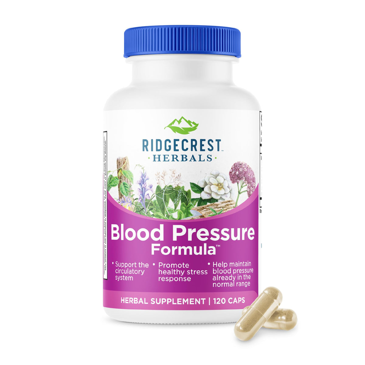 RidgeCrest Herbals Blood Pressure Formula 77g front view