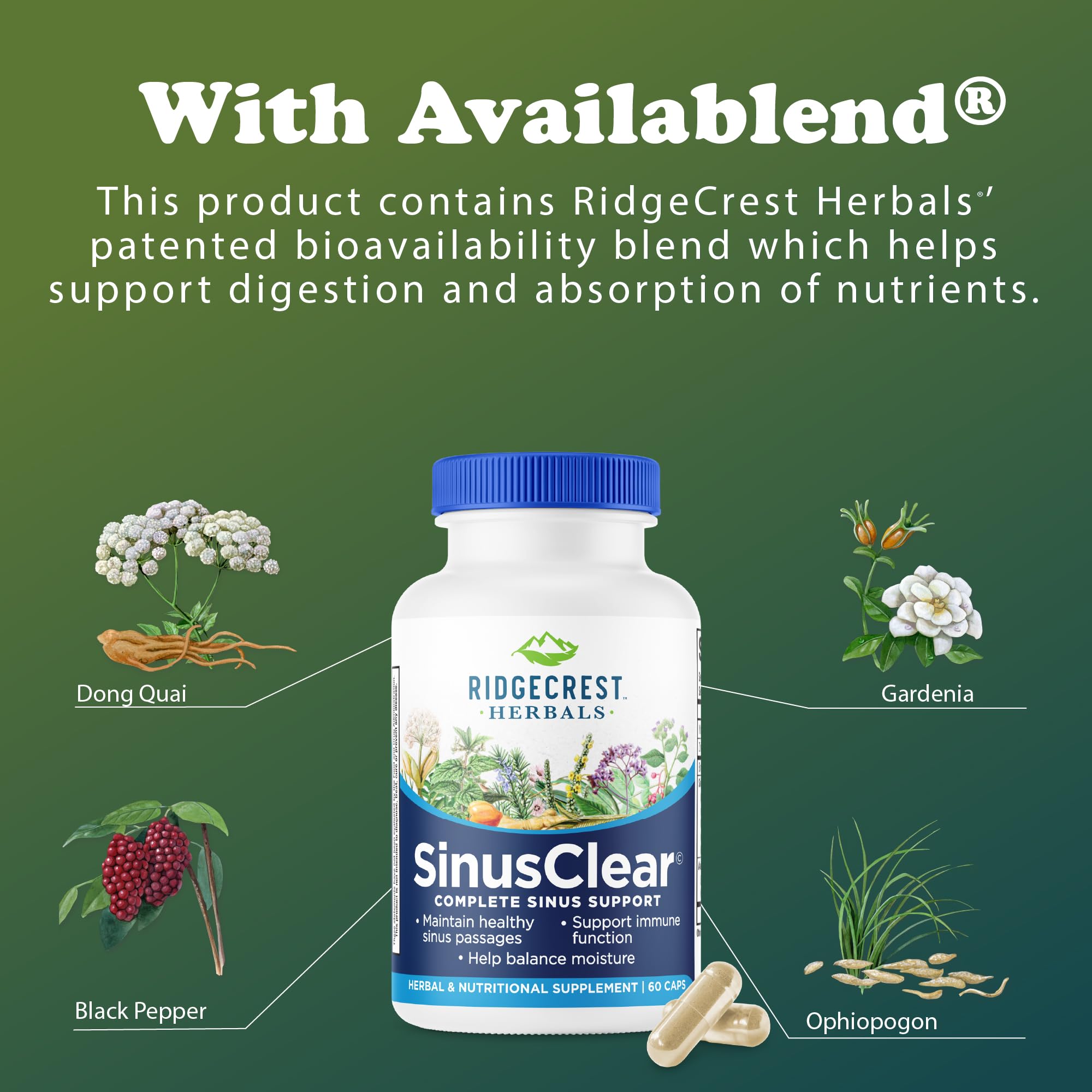 RidgeCrest Herbals SinusClear natural supplement in hand