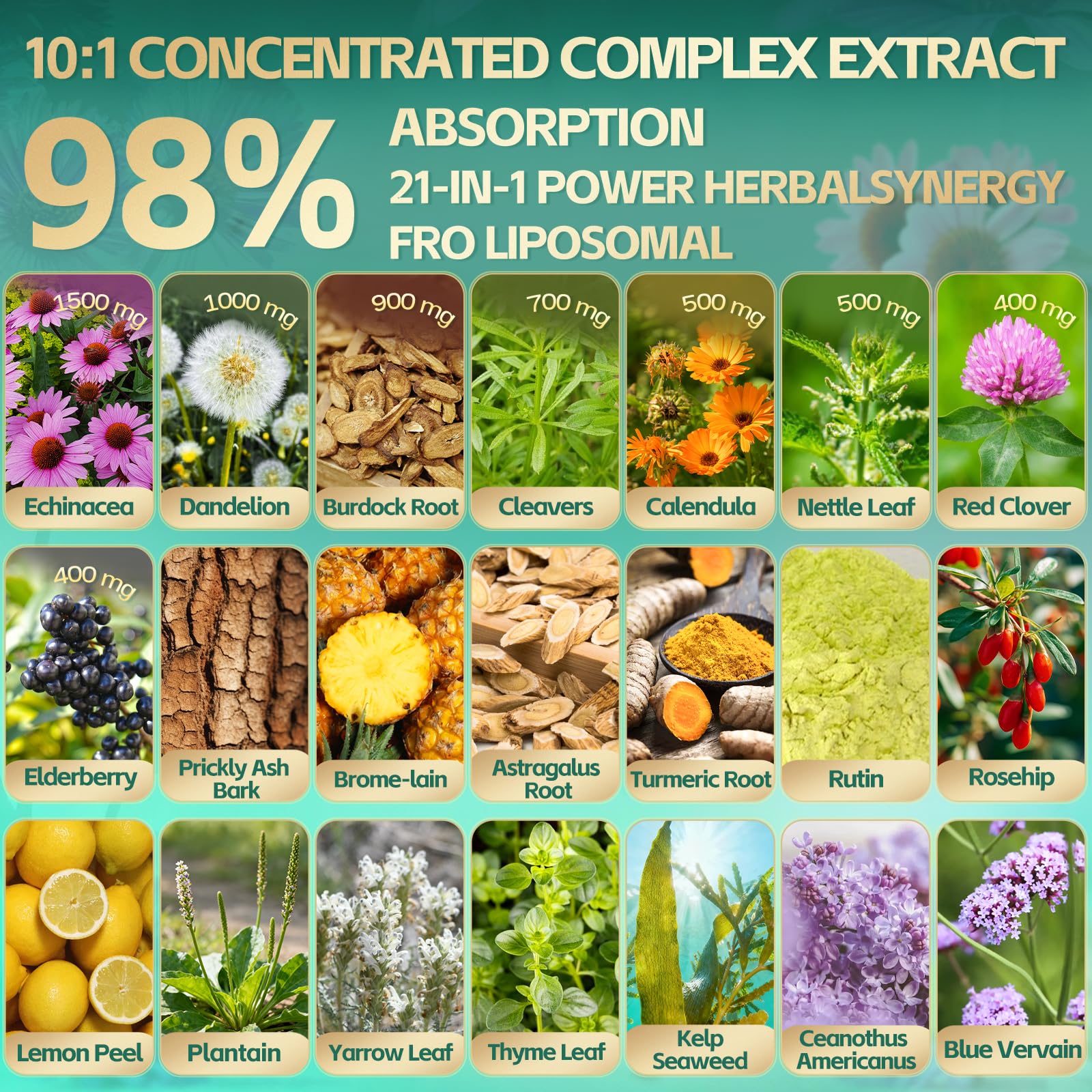 RiseLuxun Echinacea Softgels capsules close-up