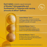 Ritual Ashwagandha Capsules lifestyle scene with a notebook