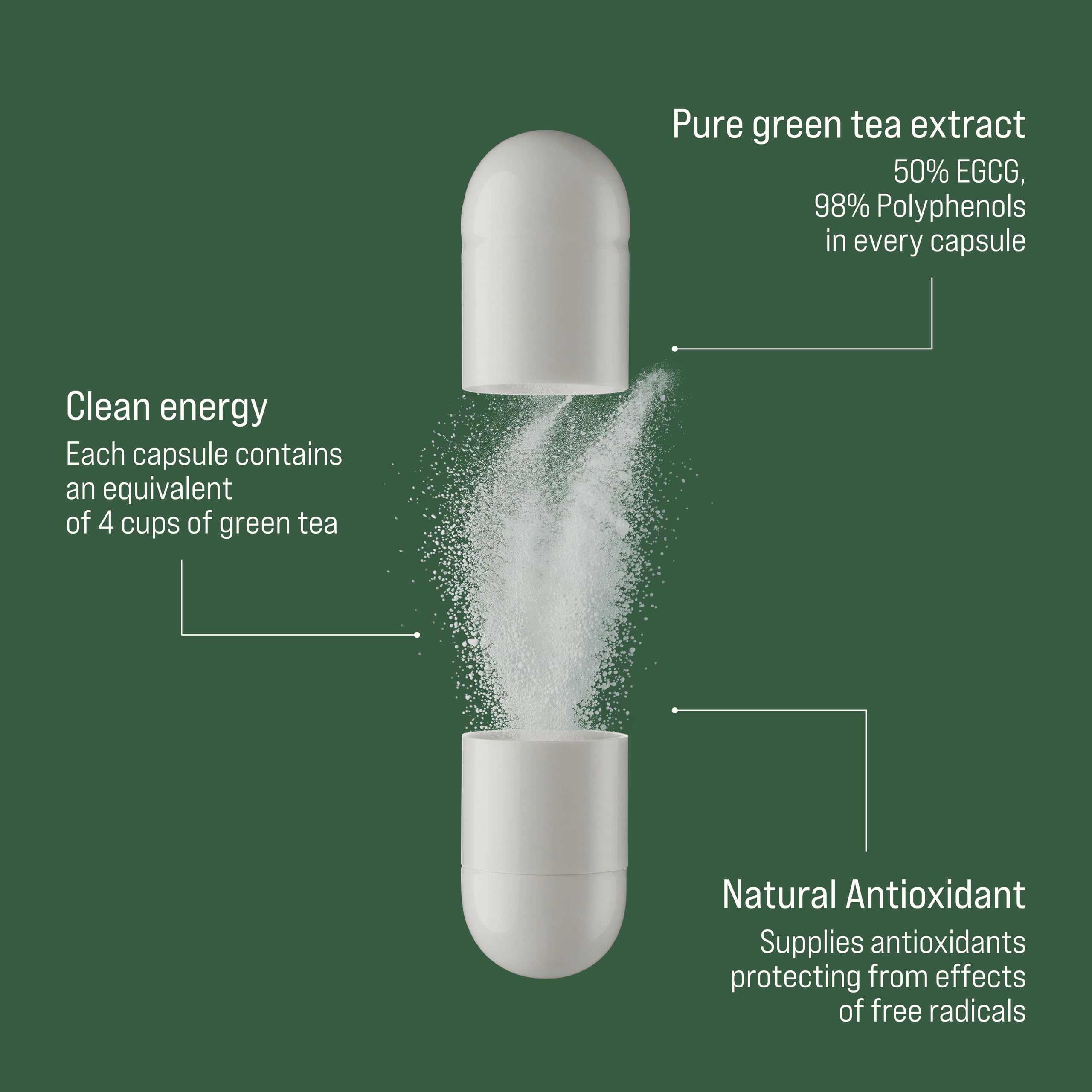 Rivium Green Tea Extract Capsules back view with ingredient list