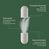 Rivium Green Tea Extract Capsules back view with ingredient list