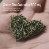 Rivium Green Tea Extract Capsules close-up of the bottle