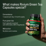 Rivium Green Tea Extract Capsules showing the capsule size