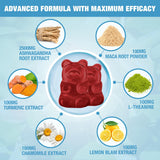 Riyuetian Ashwagandha Gummies with natural ingredients