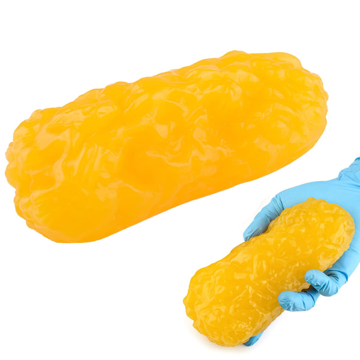 RONTEN 1lb Human Fat Replica Model front view on display stand