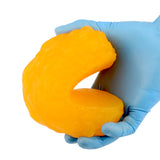 RONTEN 1lb Human Fat Replica model with measurement guide