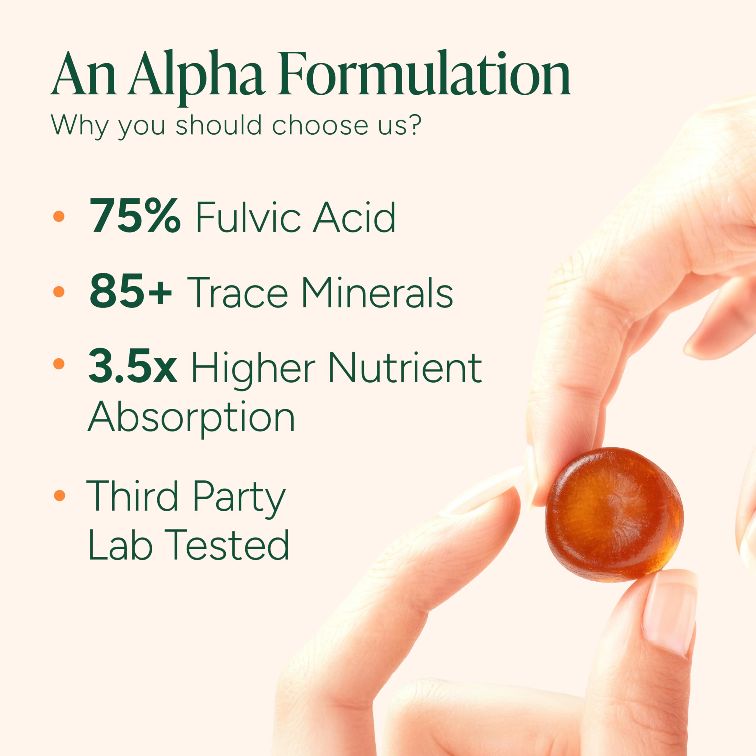 ROOT LABS Alpha Shilajit Gummies in a lifestyle setting