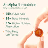 ROOT LABS Alpha Shilajit Gummies in a lifestyle setting