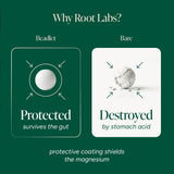 ROOT LABS Magnesium Gummies side view of packaging