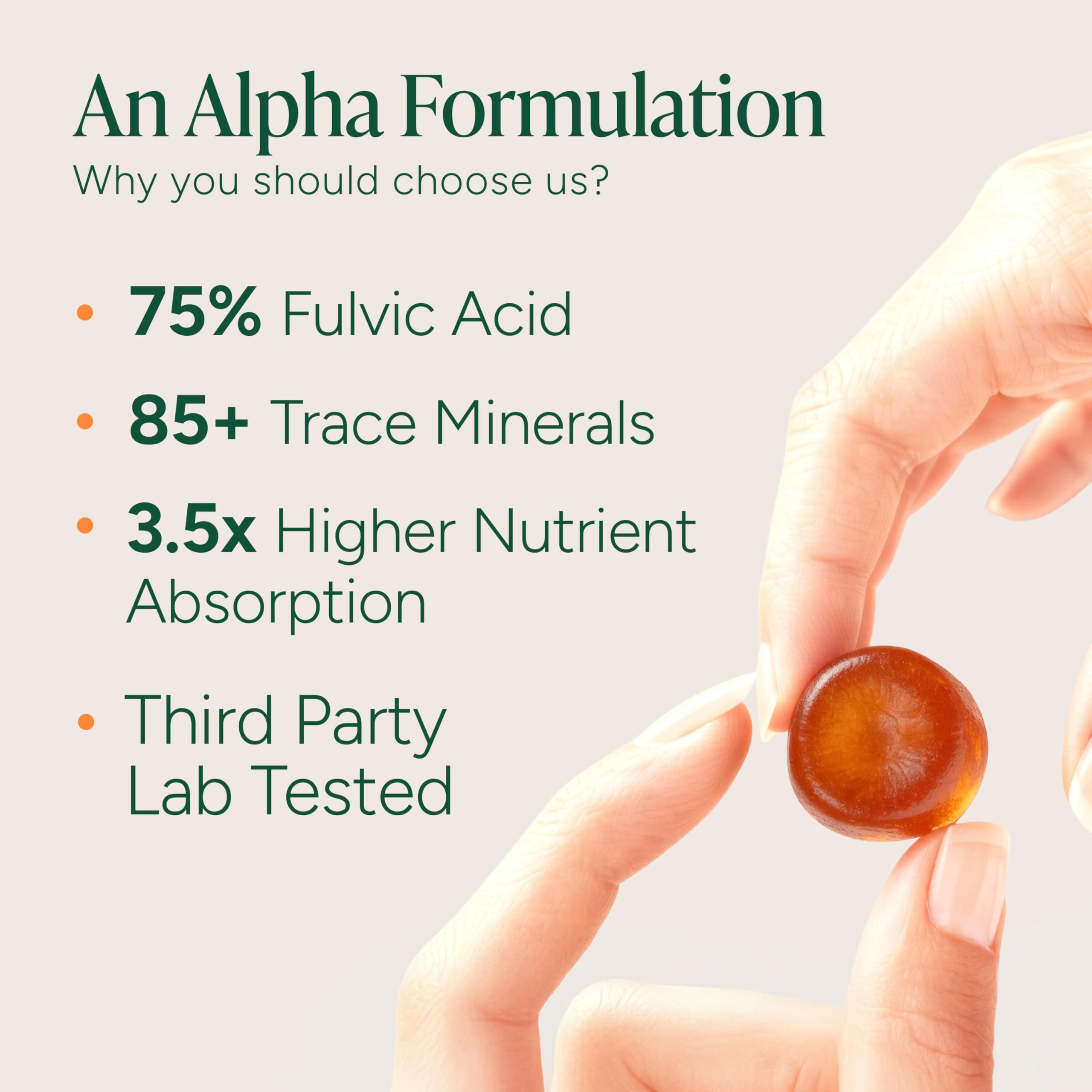 ROOT LABS Shilajit Gummies close-up of gummies
