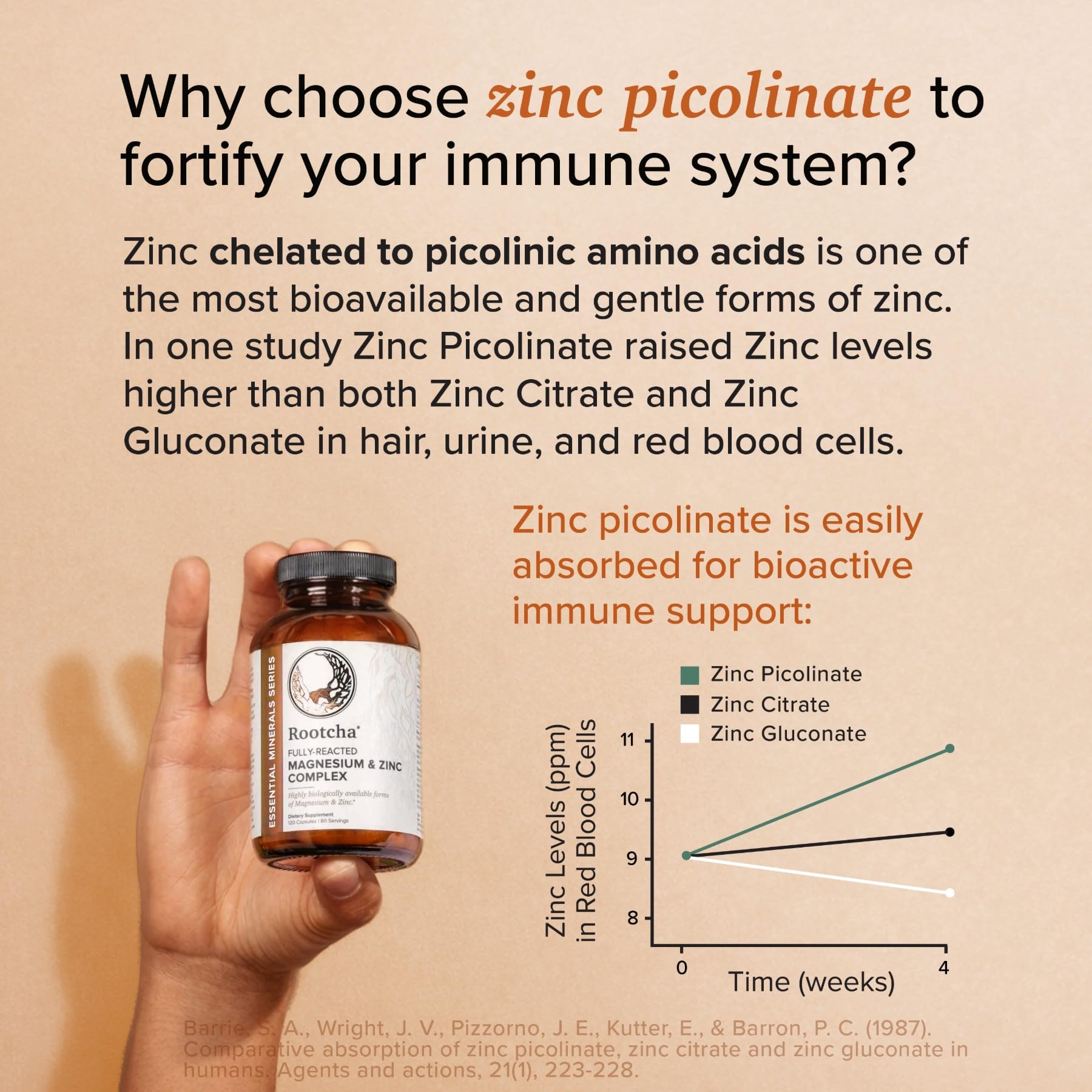 Rootcha Magnesium and Zinc Complex 400mg capsules on a wooden table