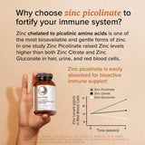 Rootcha Magnesium and Zinc Complex 400mg capsules on a wooden table