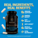 Rooted Origins Sea Moss & Ashwagandha Capsules back view