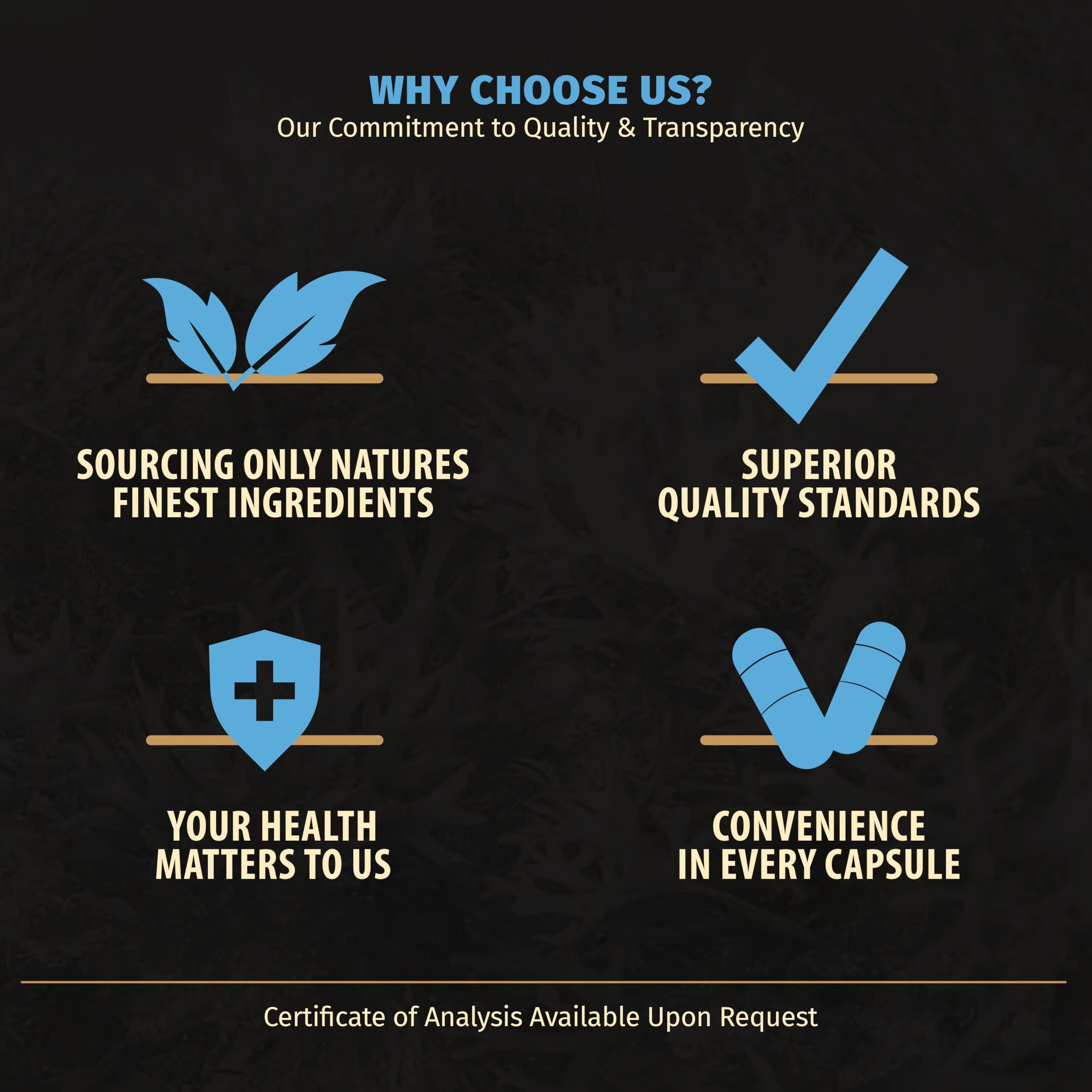 Rooted Origins Sea Moss & Ashwagandha Capsules in a natural setting