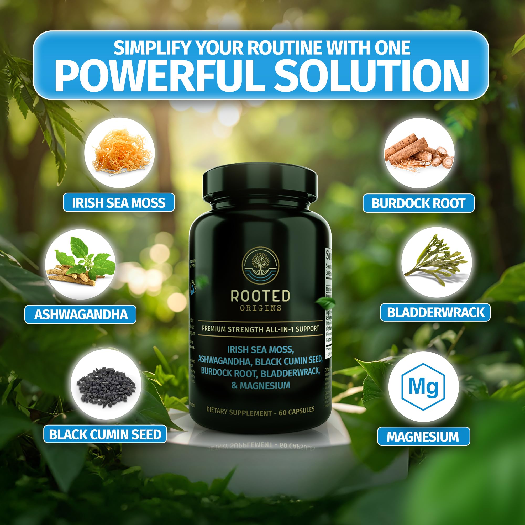 Rooted Origins Sea Moss & Ashwagandha Capsules with ingredients displayed