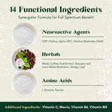 Rootful Mind supplement in a lifestyle setting