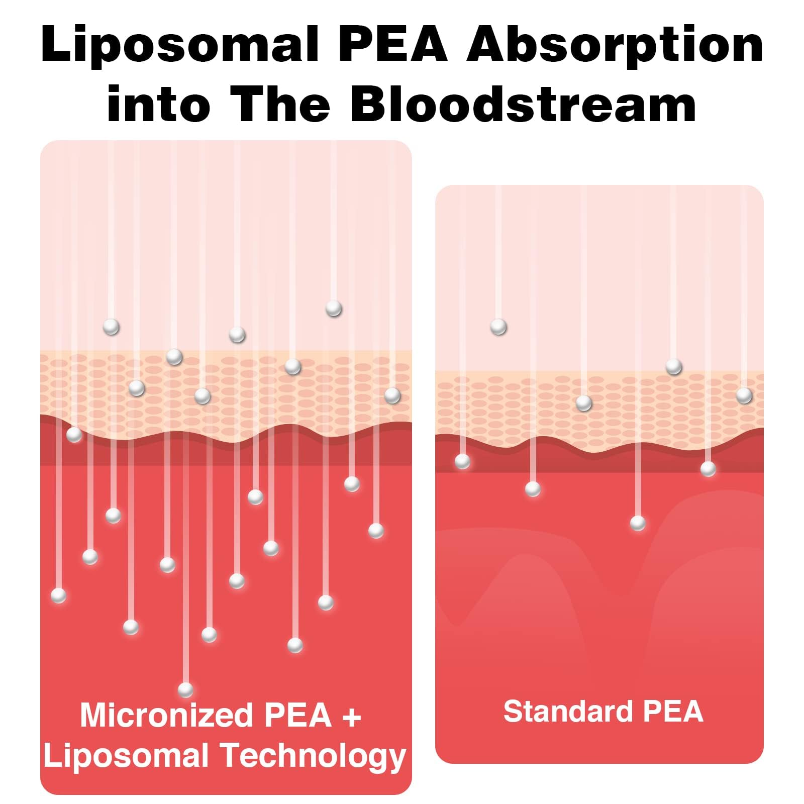 Rosmolo Liposomal PEA + Luteolin softgel capsules with ingredients