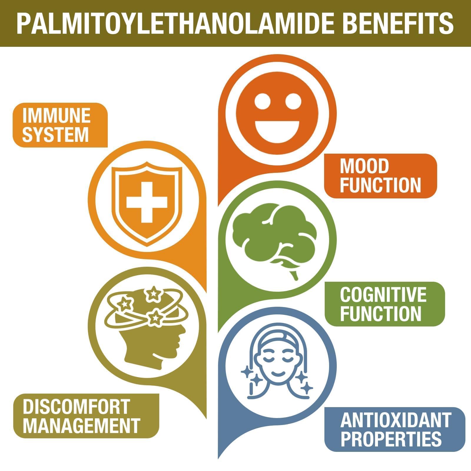 Rosmolo Palmitoylethanolamide supplement ingredients list