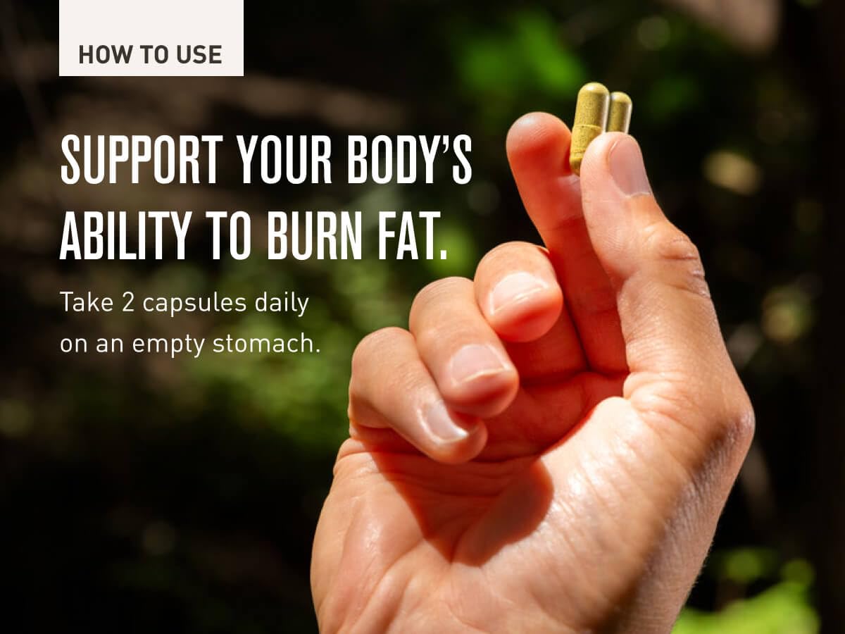 ROUNDHOUSE PROVISION Fat Burner Capsules close-up of capsules