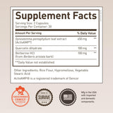 ROUNDHOUSE PROVISION Fat Burner Capsules packaging